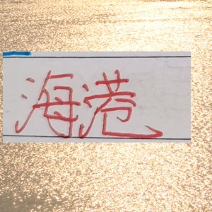 有的前锋一年几十场比赛踢下来 进球还不如海港队长王燊超多